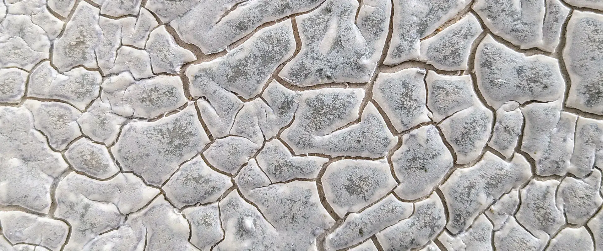 contacte l'élément terre