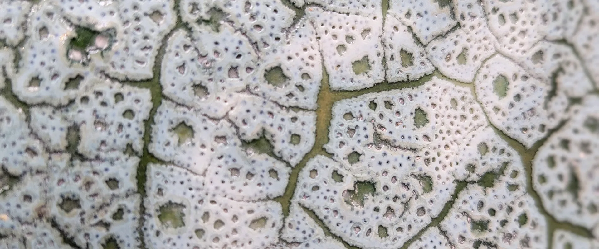 Portrait de Mounia Guénatri